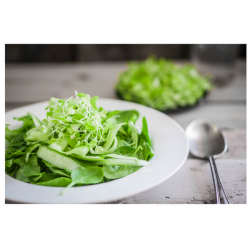 Vegetarian Meal